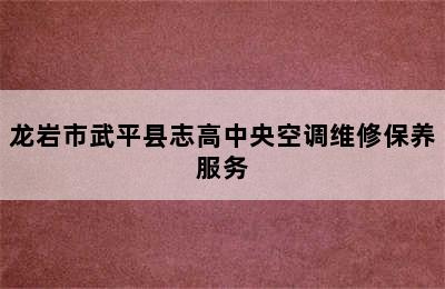 龙岩市武平县志高中央空调维修保养服务