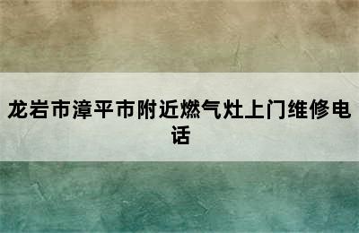 龙岩市漳平市附近燃气灶上门维修电话