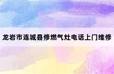 龙岩市连城县修燃气灶电话上门维修