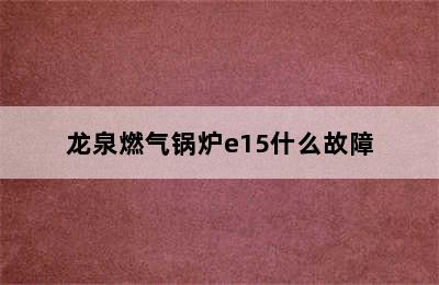 龙泉燃气锅炉e15什么故障