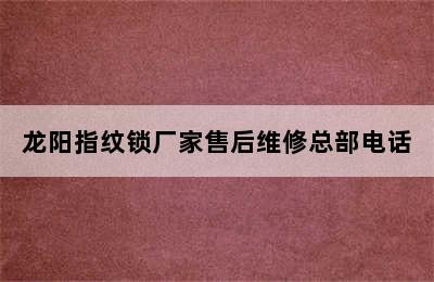 龙阳指纹锁厂家售后维修总部电话